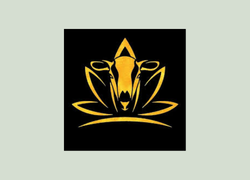 Swannanoa-Businesses-500-x-500-px-35.png