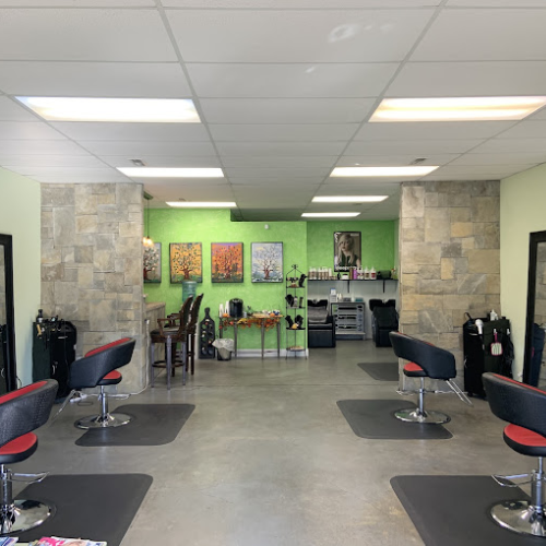 Swannanoa-Businesses-500-x-500-px-41.png