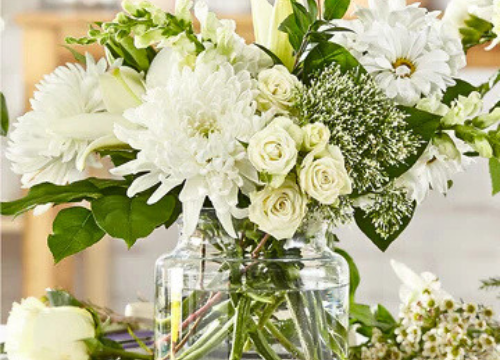 Swannanoa-Businesses-500-x-500-px-52.png