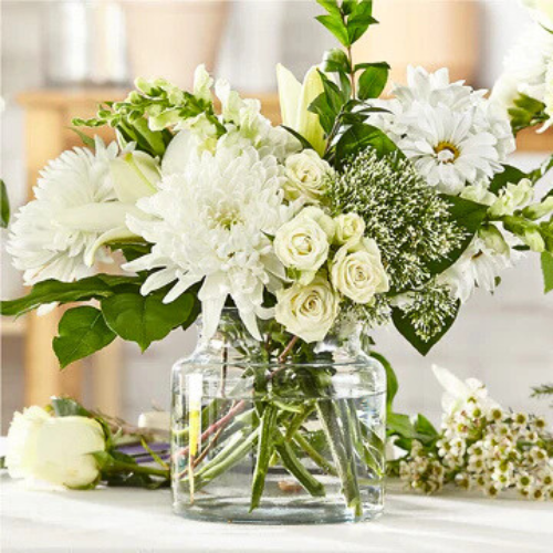 Swannanoa-Businesses-500-x-500-px-52.png