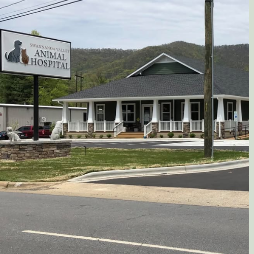 Swannanoa Valley Animal Hospital